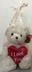 White Teddy