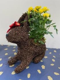 Rose Animal Planters