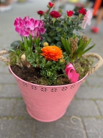 Bucket planter