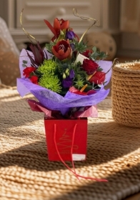 Luxury Amaryllis Hand Tied