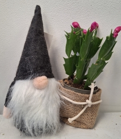 Minature Christmas Gonk