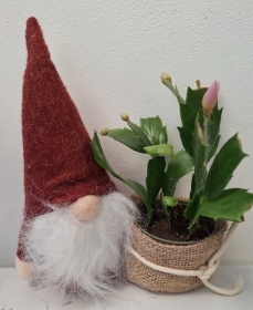 Minature Christmas Gonk