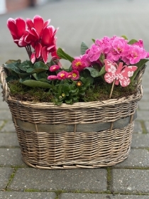 Mothers Day planter
