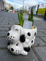 Puppy Planter