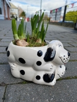 Puppy Planter