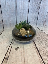 Succulent Handmade Planted Bowl