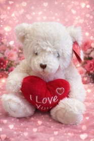 White Teddy Bear