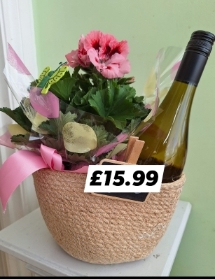 Wine and Plant Combo, Special Offer